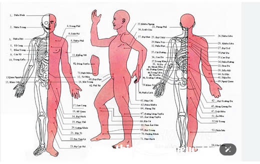 36 TỬ HUYỆT NẰM Ở VỊ TRÍ NÀO ?